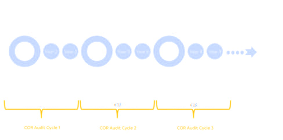 Cor+action+plan