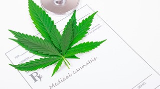 Marijuana
